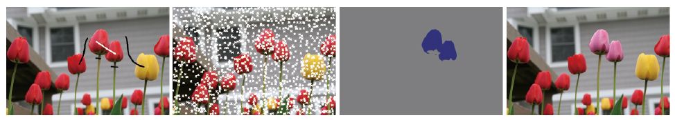 Sparse Pixel Sampling for Appearance Edit Propagation